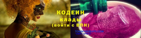 дживик Абаза