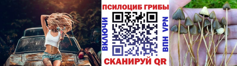 даркнет сайт  Кувшиново  Галлюциногенные грибы Cubensis 