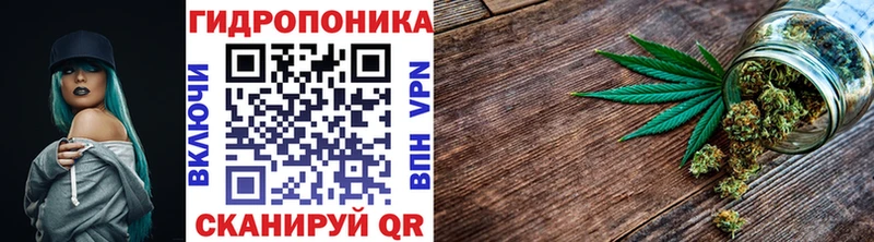 Каннабис конопля Кувшиново